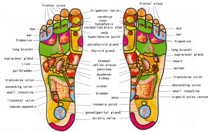 Reflexology – Can It Help Relieve IBS? – Silicol